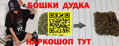 apvp Новодвинск