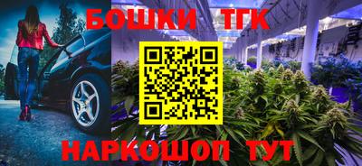 apvp Новодвинск