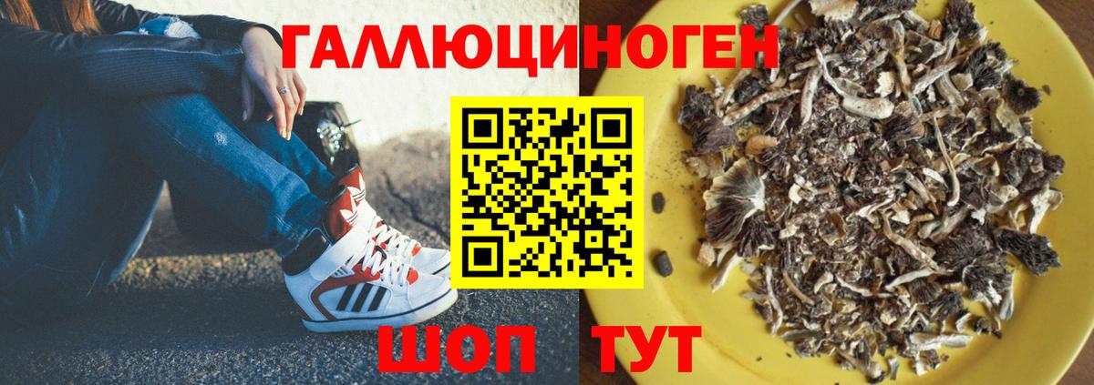 Печора  Псилоцибиновые грибы GOLDEN TEACHER  Вход с VPN 