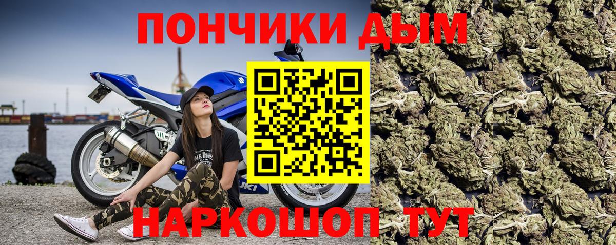 Марихуана гибрид Печора